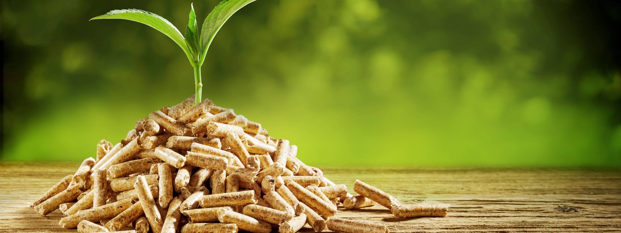 Quel est le mode de chauffage le plus écologique ? Munster