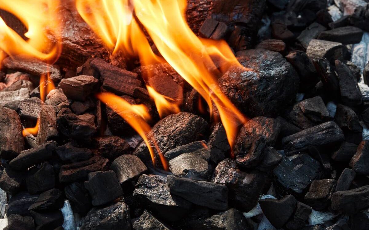 COMBUSTIBLES_POELE_A_BOIS 1200X750 | Les Cheminées Glam Cheminée, poêle à bois ou poêle à granulés : que choisir pour sa maison ? Colmar