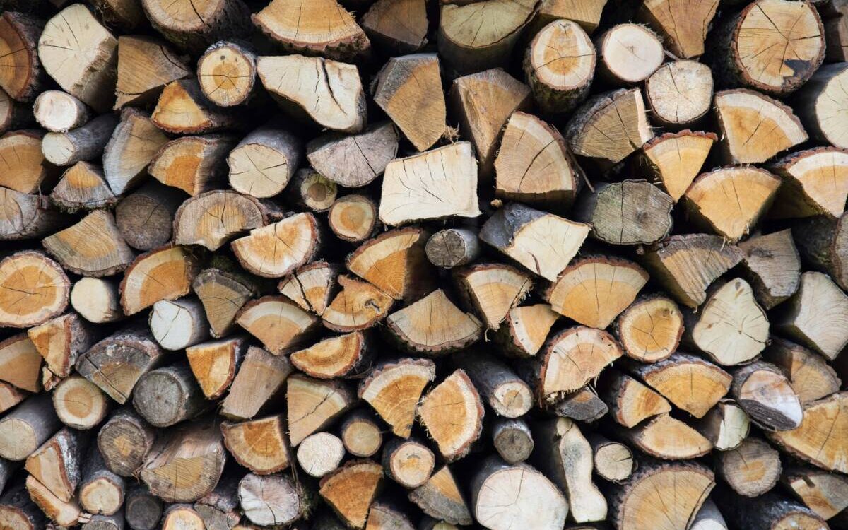 Comment ranger son bois pour l’hiver ? Colmar